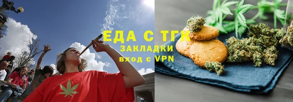 хмурый Арсеньев
