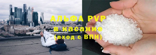 хмурый Арсеньев