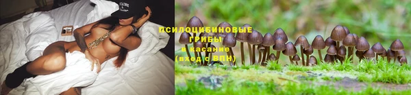 хмурый Арсеньев