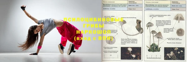 марки nbome Аркадак