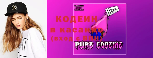 хмурый Арсеньев