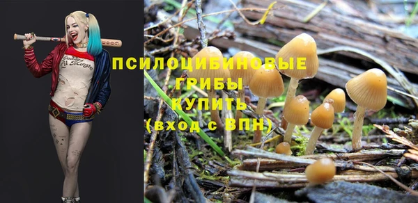 спайс Балахна