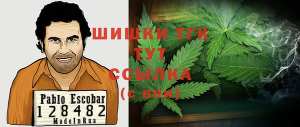 хмурый Арсеньев