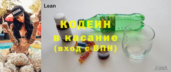 хмурый Арсеньев